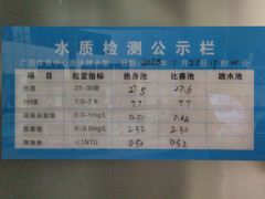 -广西体育中心-游泳馆