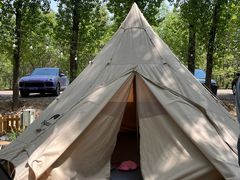 游乐设施-森林小栈TreeStation露营基地