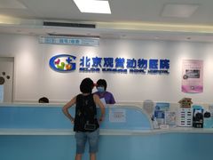 -北京观赏动物医院·24小时大型综合·猫专科·异宠专科