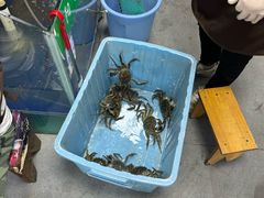 -阳澄湖大闸蟹·琼灵阁牌品牌连锁(吴中总店)