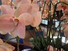 -八府香鸭·啫啫煲(华山路店)