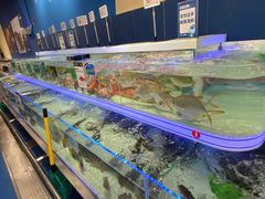 -盒马X会员店(上海森兰商都店)