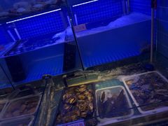 水产区-捞围鲜·港式打边炉(海阳路店)