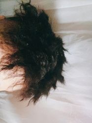 -侨治发型
