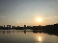 -海珠湖公园