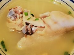 -易老妈蹄花.特色川菜(人民公园总店)
