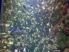 -海合安青岛极地海洋公园