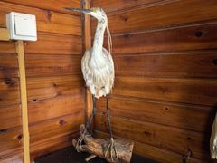 -南京金牛湖风景区