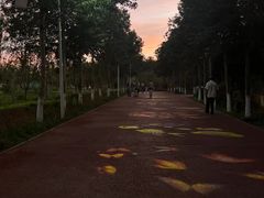 -水上乐园·欢乐世界