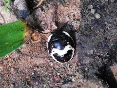 -北京鹫峰国家森林公园