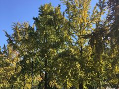 -中国人民大学游泳馆