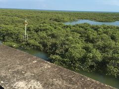 -北海金海湾红树林生态旅游区