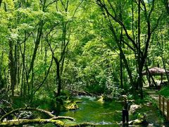 -叠溪松坪沟景区