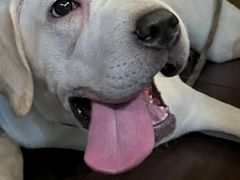 -韩食代烧烤(龙华路美食街店)