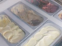 -维尔纳斯·生日蛋糕动物奶油冰淇淋蛋糕(人大店)
