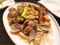 葱姜炒花蛤-金地利海鲜酒楼(清凉门店)