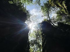 -梭布垭石林景区