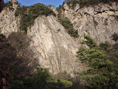 -王顺山国家森林公园