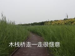-西青郊野公园