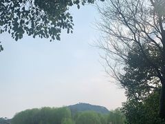 -长广溪湿地公园