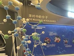 -大益茶庭(勐海会员中心店)