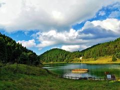-武陵山森林公园