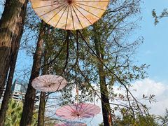 -人民公园(罗湖区)