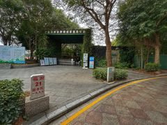 -华侨城湿地公园