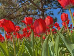 -长春公园(普阳街道)