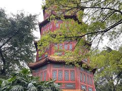 -灯盏窝餐厅