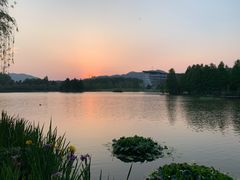 -浙江农林大学(东湖校区)