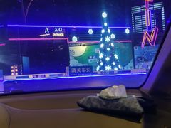 -枫花园汽车电影院(朝阳公园店)