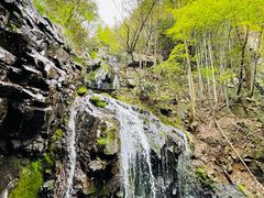 -藏龙百瀑风景区