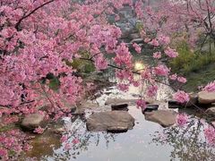 -东湖生态旅游风景区