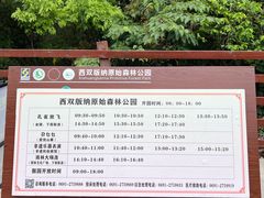 -西双版纳原始森林公园