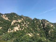 -大岭沟猕猴桃谷风景区