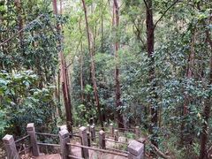 -滴水岩森林公园