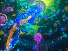 -海合安成都极地海洋公园