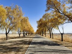 -野鸭湖国家湿地公园