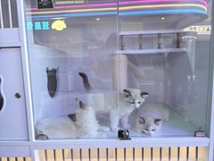 -百荣世贸商城