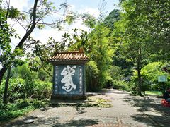 -靖西鹅泉风景区
