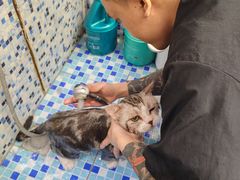 -FAELING PETS美天灵宠物(富力广场店)