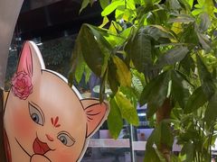 -唐猫庭院·千年陕菜(大唐不夜城店)