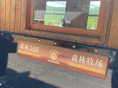-莫尔道嘎国家森林公园
