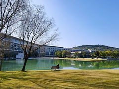 -上海佘山世茂艾美酒店