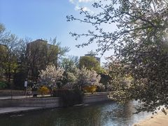 -元大都城垣遗址公园