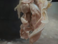 -碳火鱼羊坊(重庆总店)