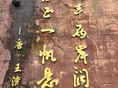 -后柳水乡