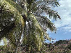 -三亚南山文化旅游区