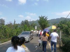 -樱桃山旅游景区